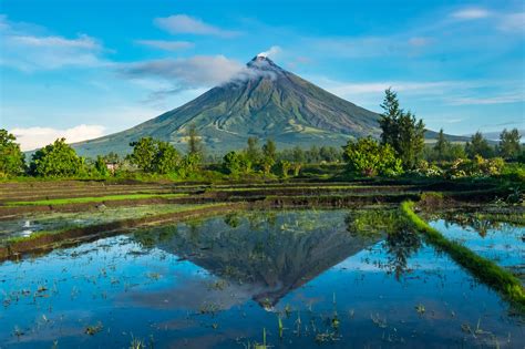 Mayon .